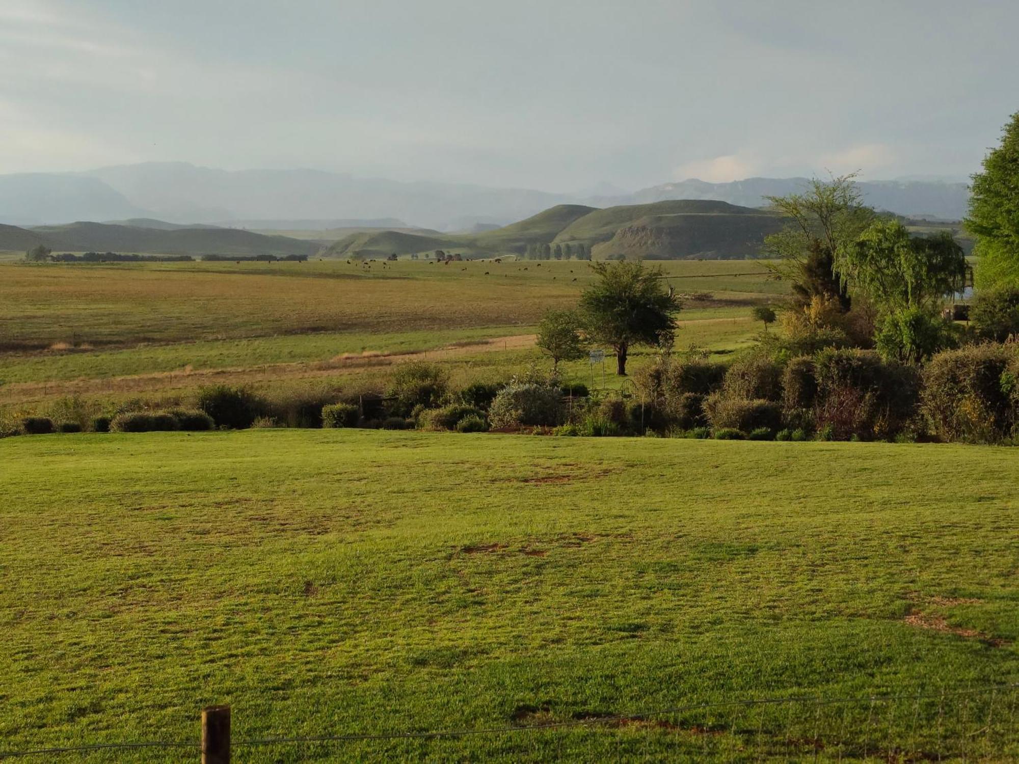 הימוויל Sani Pass View Cottage מראה חיצוני תמונה